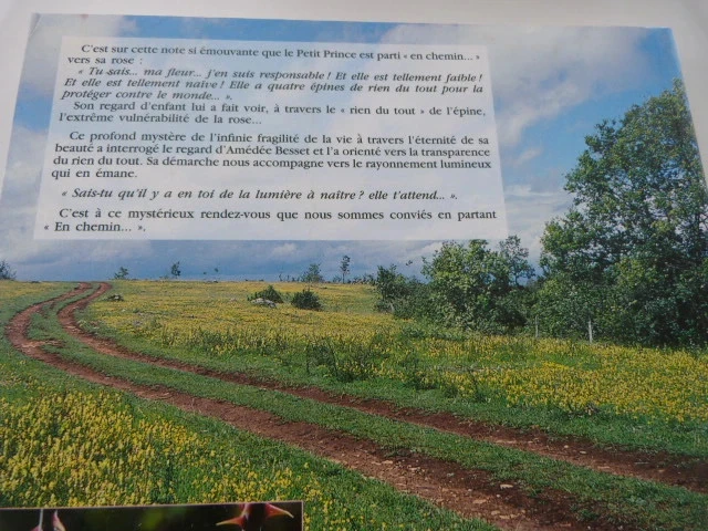 en chemin amédée besset – photo 3